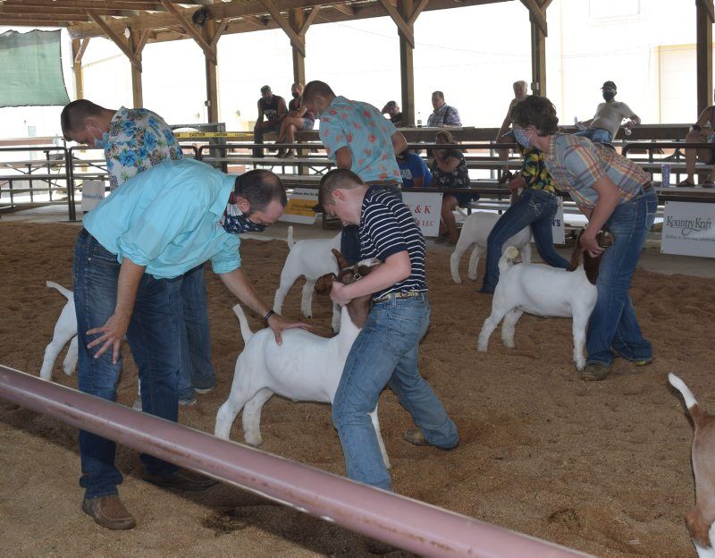 Leb-Fair-Goats-2.jpg